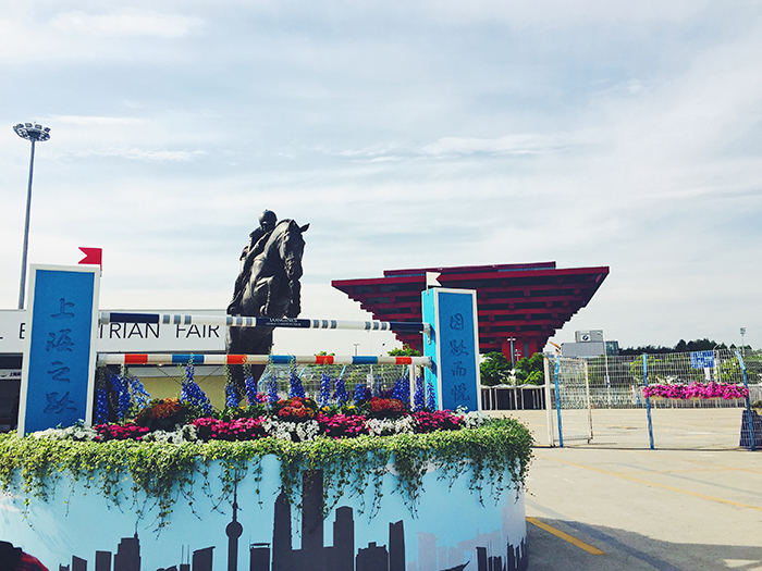 1495012225617317.jpg 02.jpg